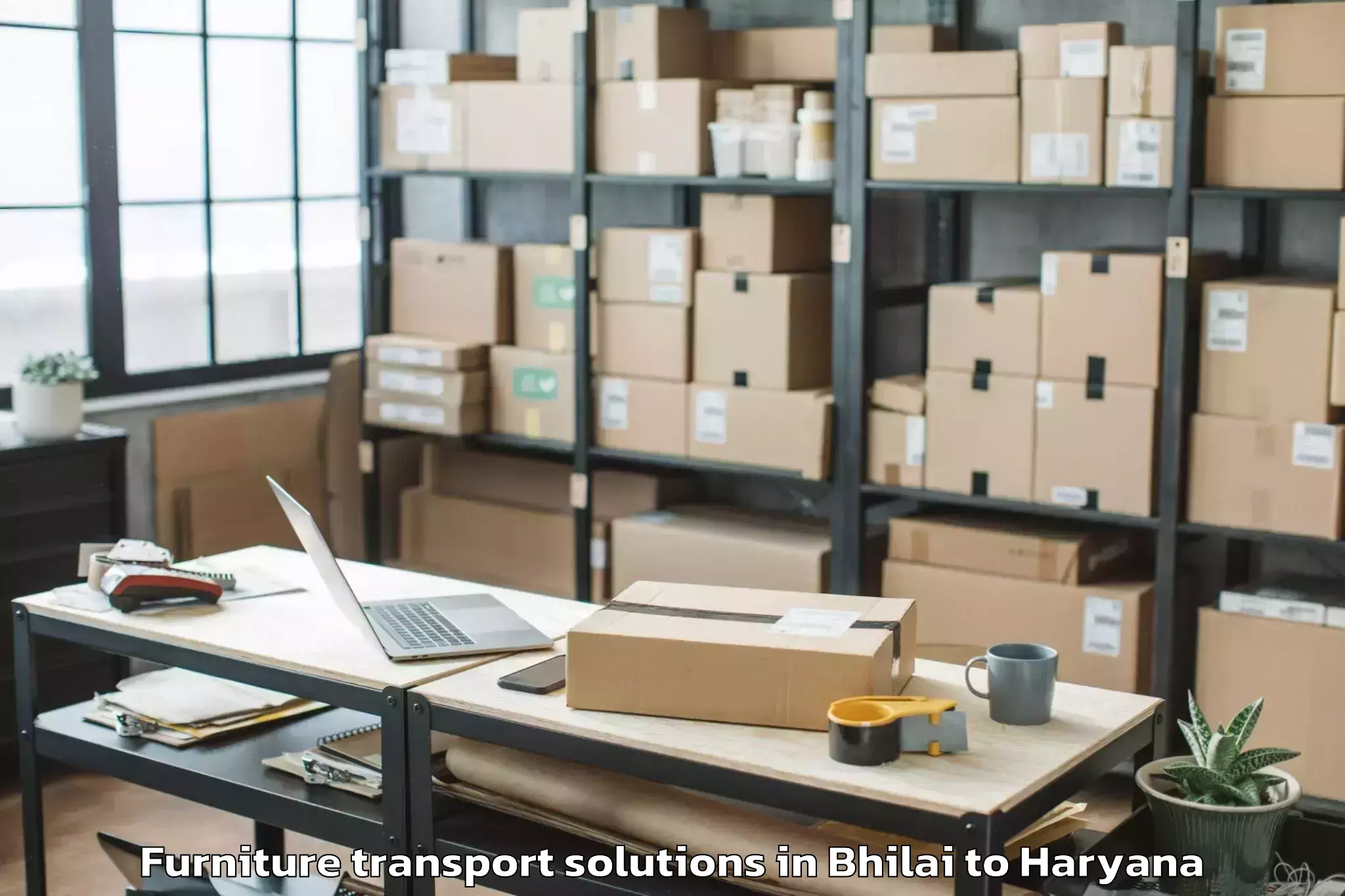 Trusted Bhilai to Haryana Furniture Transport Solutions